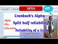 How to find reliability Reliability by SPSS Cronbach s alpha Split Half Reliability