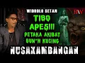 Download Lagu PETAKA BUNH  KUCING NUSAKAMBANGAN