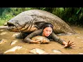 Download Lagu Catching a Monster Grass Carp \u0026 Giant Catfish by Hand to Sell at the Fish Market with my Children