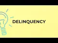 What is the meaning of the word DELINQUENCY