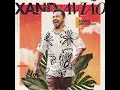 Download Lagu Não Pode se Apaixonar - XAND AVIÃO Ao Vivo