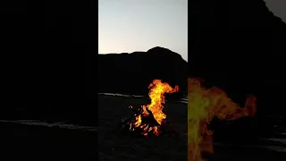  هيبتنا ترهب الذيب سرحاني دندنها