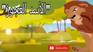 الاسد العجوز الاسد العجوز     دندنها