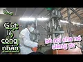Download Lagu cove giọt lệ công nhân //video nguyễn hiếu