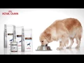 Royal Canin GI Veterinary Diet