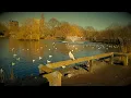 February in the Park