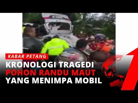 Minibus Tertimpa Pohon Tumbang, 4 Orang Tewas | tvOne