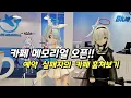 Download Lagu 블루아카이브 카페 메모리얼 오픈!! [日本語/ENG]