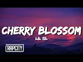 Download Lagu Lil Sil - Cherry Blossom (Lyrics)