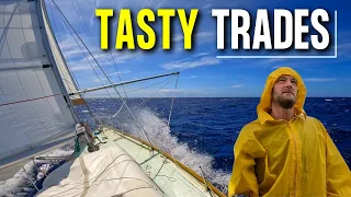 What Trade Wind Sailing Is Really Like + Heave To Testing
