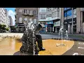 Guided Walking Tour Porto Santiago de Compostela Camino de Santiago - Best Of