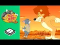 Download Lagu Tom \u0026 Jerry Go to Africa | Tom and Jerry Tales | Boomerang UK