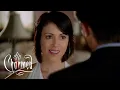 Download Lagu Is This Phoebe's New Man!