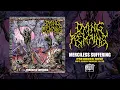 Download Lagu DYING REMAINS \