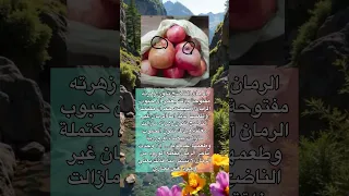 معلومة حول نضج فاكهة الرمان اكسبلور اقتباسات معلومات قصص ترند 