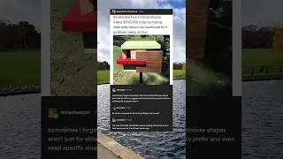 This Bird Makes 240 000 A Day Doing THIS Funnyshorts Viral 