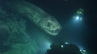 Mysterious Mariana Trench Discoveries