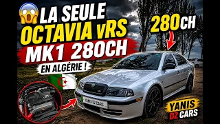 🔥 Octavia VRS MK1 280CH 🇩🇿 | Wahda Bark Fi Algeria !