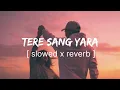 Lagu Tere sang yara [slowed+reverb+lyrics] Atif Aslam l heart lofi l#teresangyara 