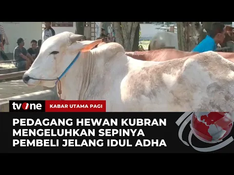 Jelang Idul Adha, Penjualan Sapi di Sleman Malah Menurun