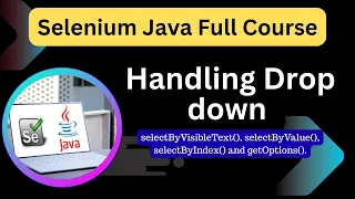 Handling Dropdown in Selenium Java Select Class with Real-Time Example