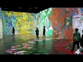Beyond Van Gogh The Immersive Experience
