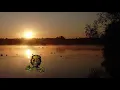 Joey Pecoraro - The Man From Atom (Official Audio)