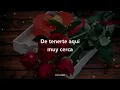 Industria del Amor - Rosas Rojas - Letra
