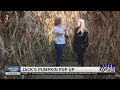 Around Town - Jack s Pumpkin Pop-Up