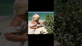 الهروب من الجزيرة ملخص فيلم The Blue Lagoon افلام اجنبية قصص النجاة افلام مغامرة ملخصات افلام 