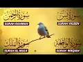 Magical Recitation Surah Yaseen (Yasin) | Surah Rahman | Surah Waqiah | Surah Mulk