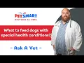 What to Feed Dogs with Health Conditions PetSmart Veterinary Services