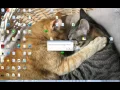 How to make a Vb Script file