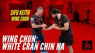wing chun white crane chin na