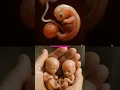 Download Lagu deep meaning video #ultrasound #pregnantbaby #pregnancybyfaith #drawing #pregnantmother