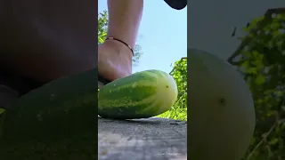Garden Check It doesn t end well for some