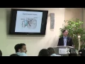 Anatomy of the Lumbar and Brachial Plexus