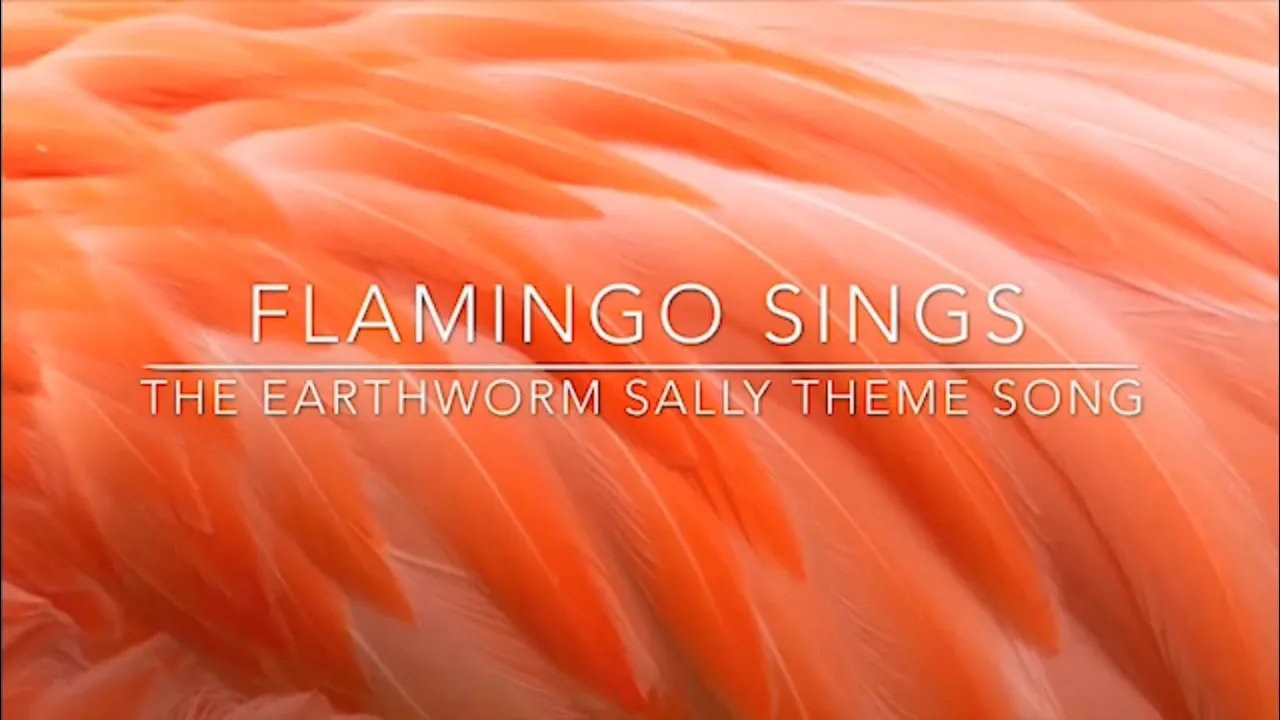 Flamingo Sings-The Earthworm Sally Theme Song