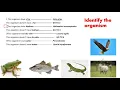 1 4 Dichotomous key IGCSE BIOLOGY https www l2htuition com