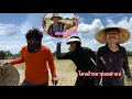 Download Lagu แกล้งอาริต้าสาวผมยาว เกือบโดนอ้ายอากอยด่า อ้ายอากอยมาดำนาช่วย|ອ້າຍອາກອຍອາລິຕ້າມາດຳນາຊ່ອຍ
