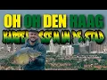 Download Lagu Oh Oh Den Haag Karpervissen in de Stad - Dave van der Valk