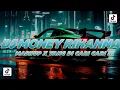 Download Lagu Dj Money Rihanna Mashup Remix Viral Tik Tok Terbaru 2023