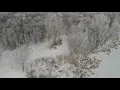Rime ice at Sunfish Lake Ramsey MN 4K