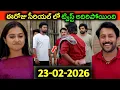 Lagu Podarillu Serial Today Episode ll 23 Feb 2026