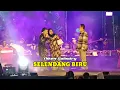 Download Lagu Selendang Biru - Niken Salindry - Campursari Mayangkara