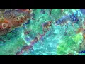 BICEP | LIDO (Official Video) - Bicep