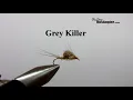 Grey Killer fly
