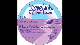 lovebirds want you in my soul ft stee downes original mix 