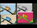Convert to Color Spaces OpenCV-Python Computer Vision Malayalam Tutorial Part-9