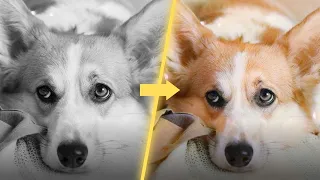 Add Color to Black and White Photos for Free with LunaPic